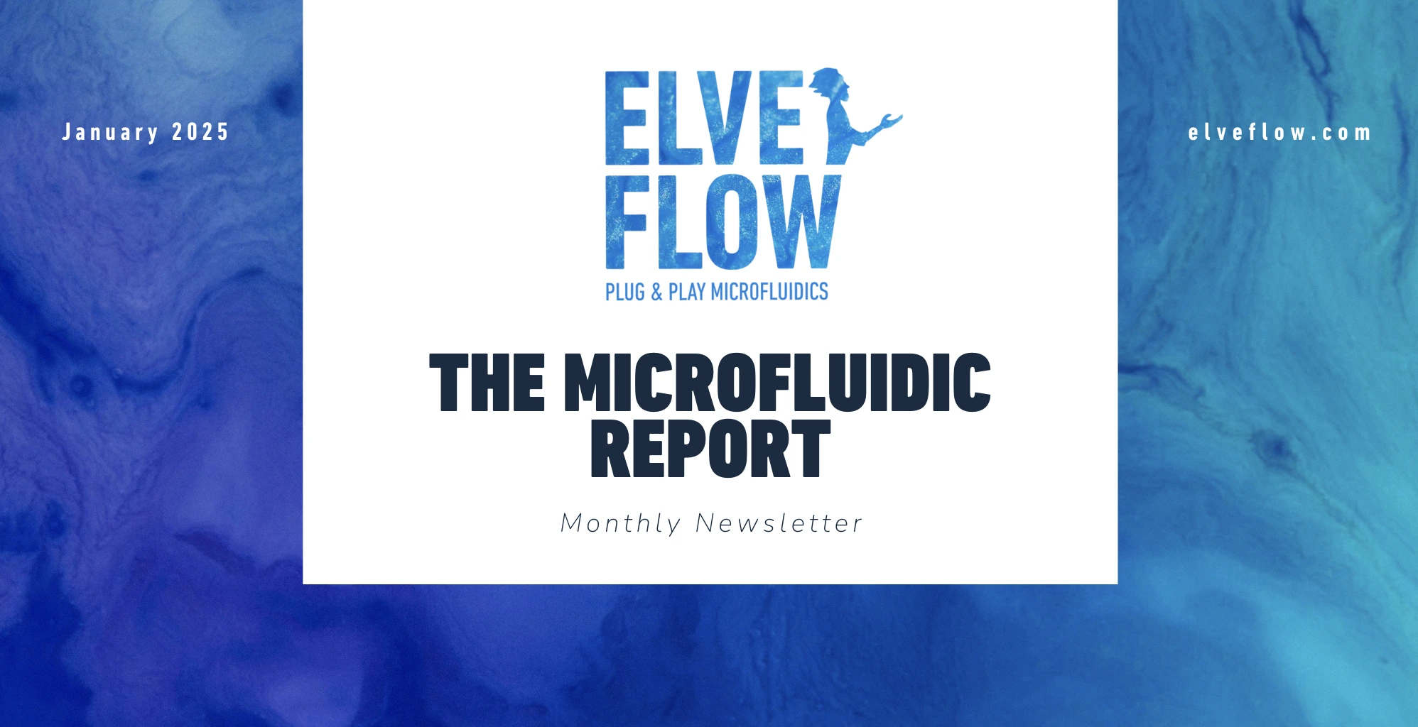 January newsletter