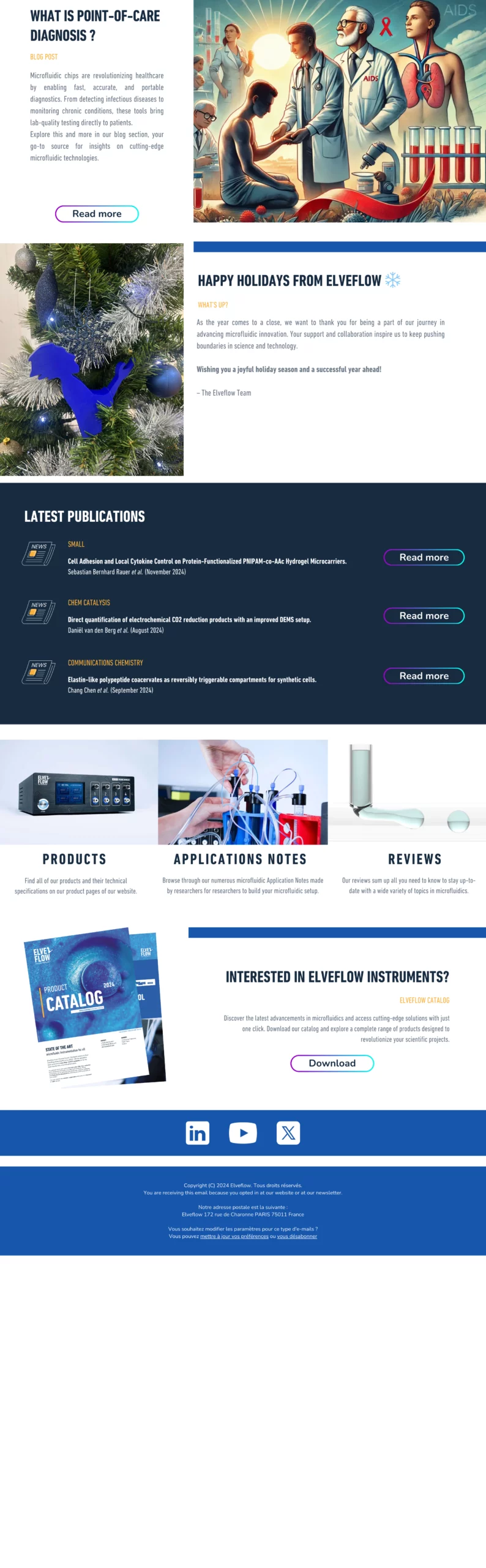 Newsletter Décembre 2024 2