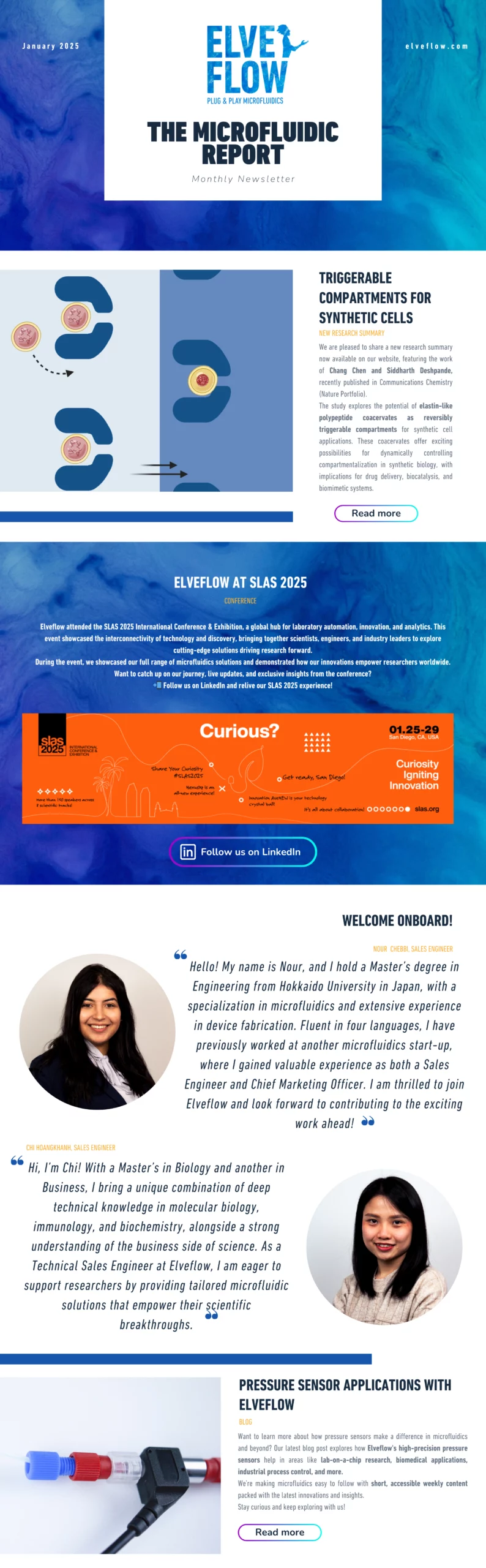 Newsletter Jan 2025 (1)