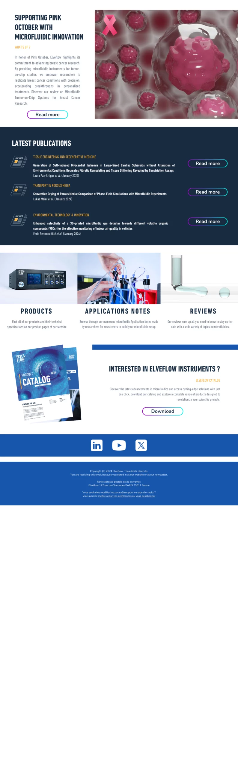 Newsletter Oct 2024 2