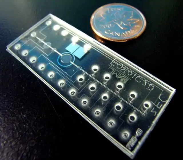 A microfluidic chip compared to a coin