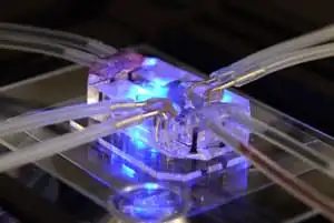 Microfabrication organs on a chip an connections