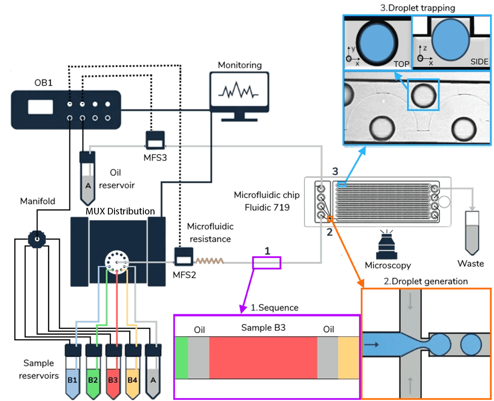 Setup schematic