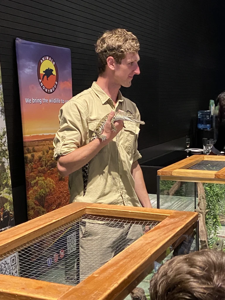 Animals of australia Microtas conference held by a men