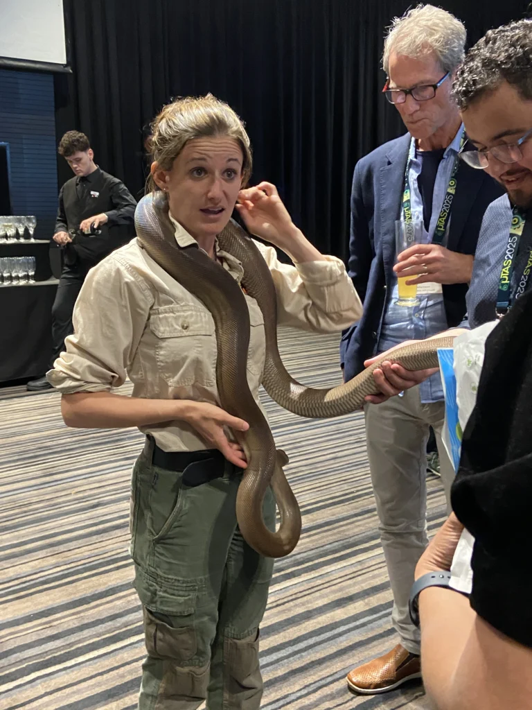 Animals of australia Microtas conference 2025