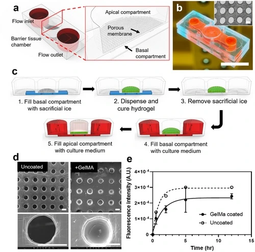 3D-Printed Unibody Microfluidic Devices for Organ-on-Chip Applications