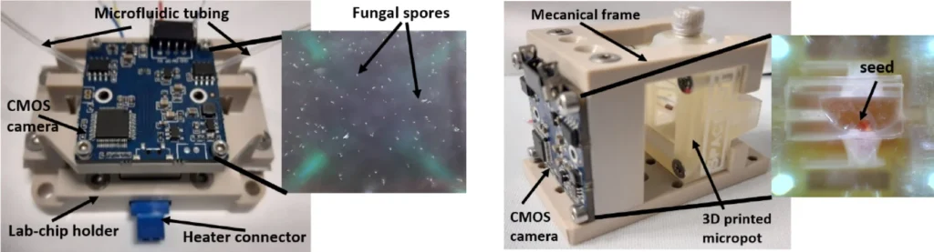 Detection system integrated with lab-chip for fungi cultivation (left), micropot for seed cultivation (right) and examples of photographed obtained.