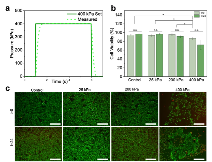 Pressure profiles of mechanoactivation