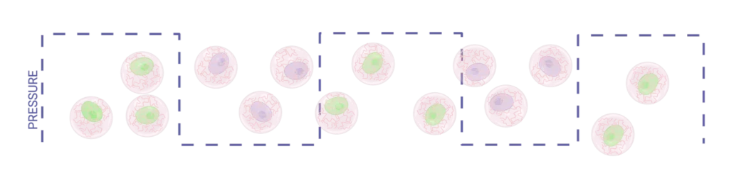 Mechanoactivation illustration depending of the set pressure