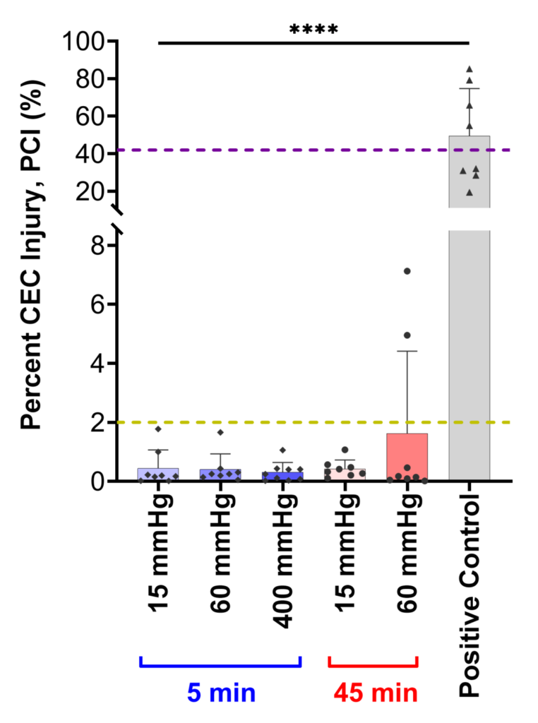 Quantification of injured corneal endothelial cells