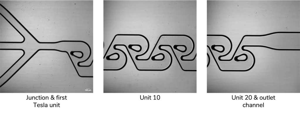 Bright-field images acquired at different positions along the Tesla micromixer