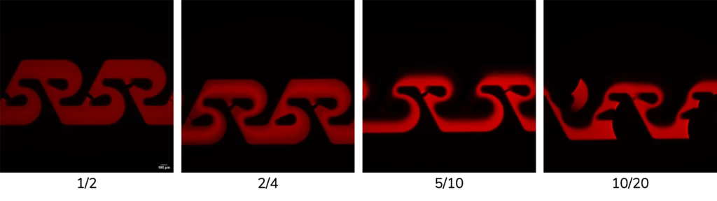 Fluorescence images acquired at the Tesla Unit