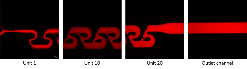 Fluorescence images acquired at different positions along the Tesla micromixer