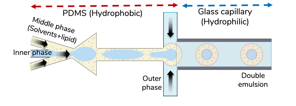 Schematic demonstration of double emulsion (DE) formation using PDMS-Glass capillary hybrid chip
