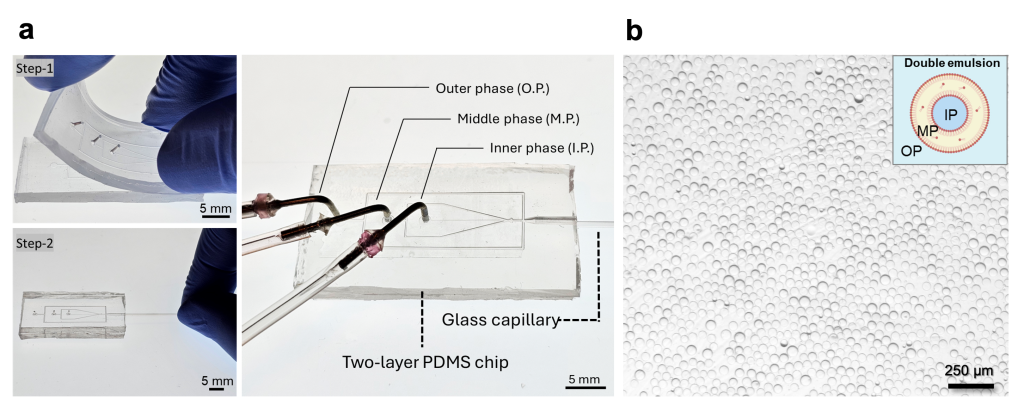 The 2-step assembly illustration of the chip and photograph of the chip with its corresponding elements b) High yield thin shell DE formation using the hybrid chip