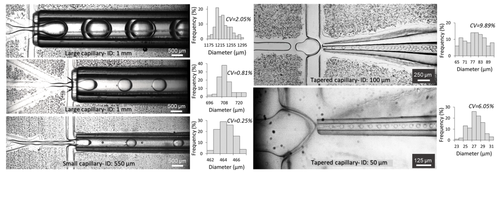 Versatility in the formation of thin shell DEs using the hybrid chip
