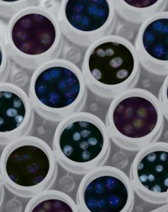 national cancer institute cell images