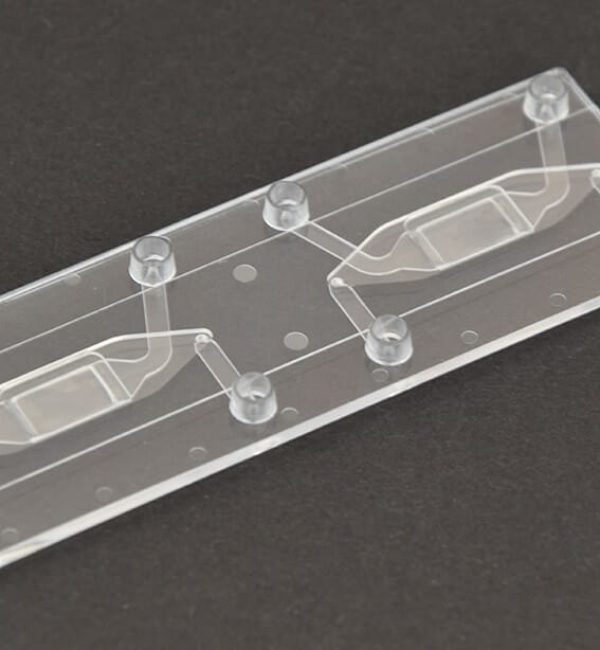 Endothelial cell Pilot Pack chip