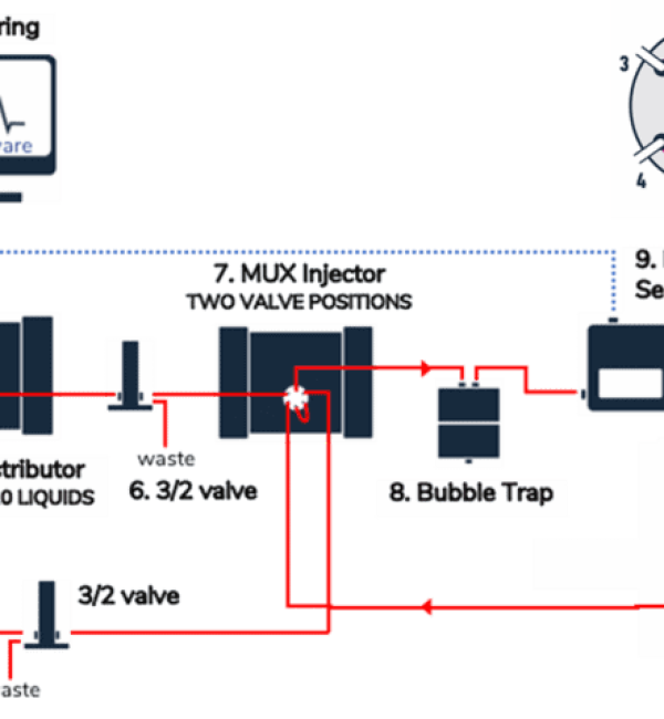 Endothelial cell culture use case setup