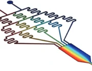 Microfluidic-concentration-gradient-generator-principle-elveflow
