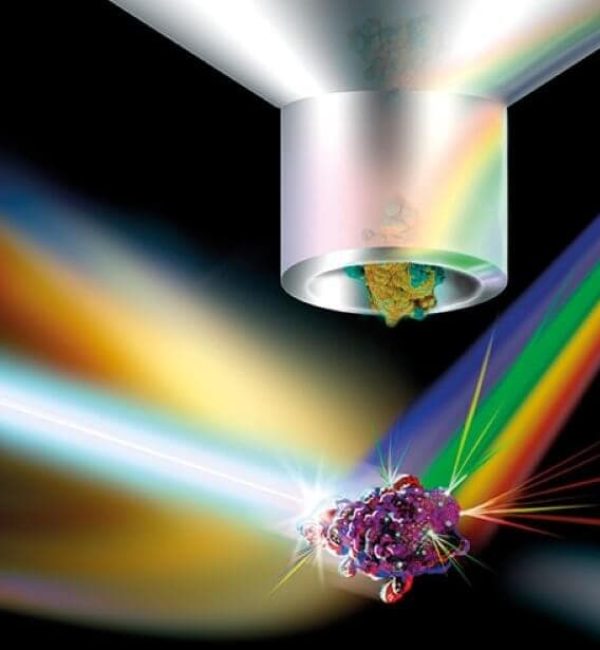 Sheath fluid flow cytometry Pilot Pack title e1603792681540