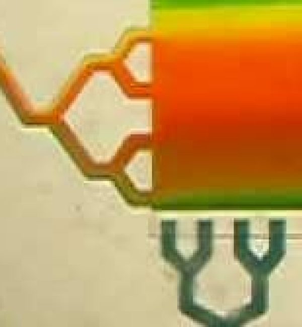 chemotaxis A folch plug and play microfluidic setup